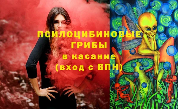 прущие крисы Абинск