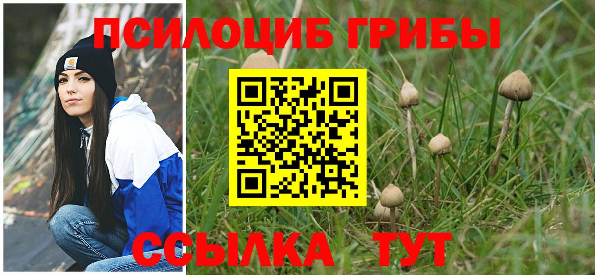 Псилоцибиновые грибы ЛСД Добрянка
